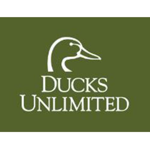 Brau Motors in Arlington MN