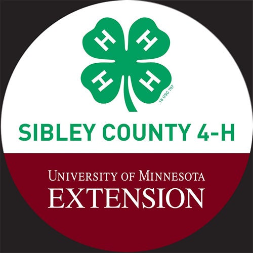 Brau Motors in Arlington MN