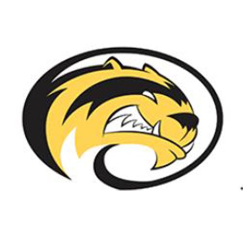 Brau Motors in Arlington MN